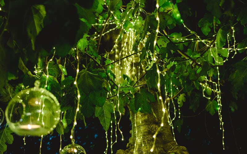 A group of solar-powered string lights hung up from a tree at night.