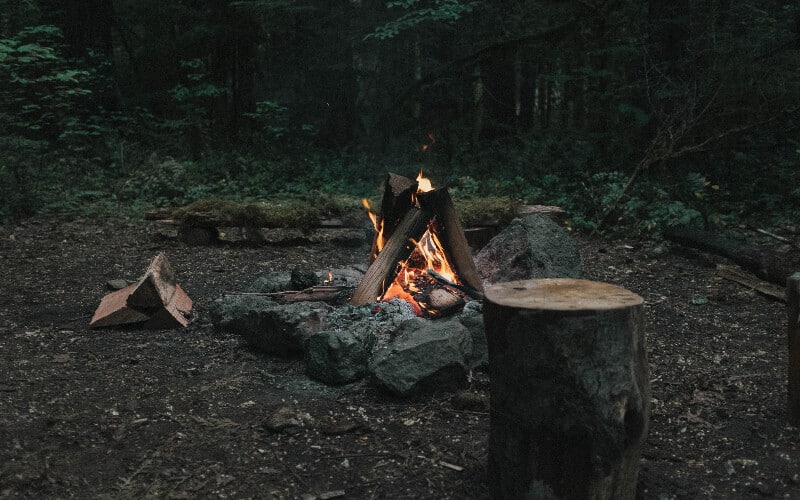 A campfire built in the woods to help repel wild animals.