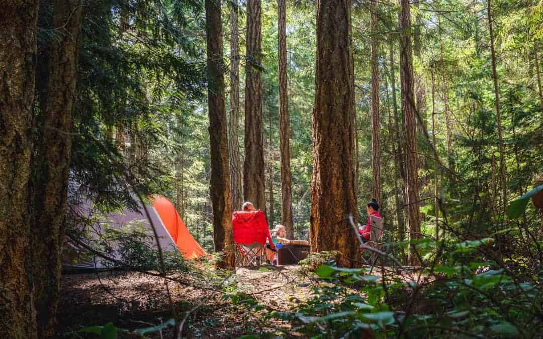 Beginners Guide to Camping Banner: People in chairs next to tent between trees in a forest.