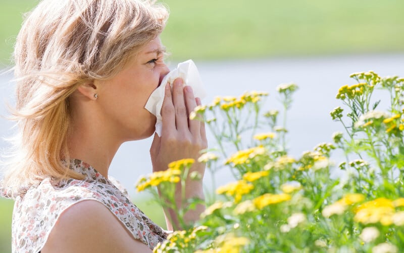 Woman standing behind yellow flowers sneezing into a tissue because of allergies.