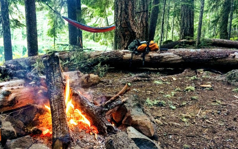 A hammock set up a safe distance away from a campfire in a forest.
