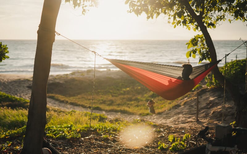 A man relaxing in a hammock a safe distance away from the ocean.