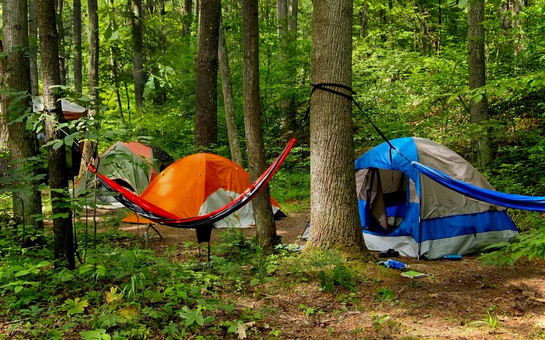 Hammock vs Tent Camping Banner: Two hammocks suspended from trees with three tents in the background in the forest.