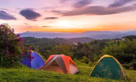 Exploring The Best National Parks and Campgrounds for Group Camping